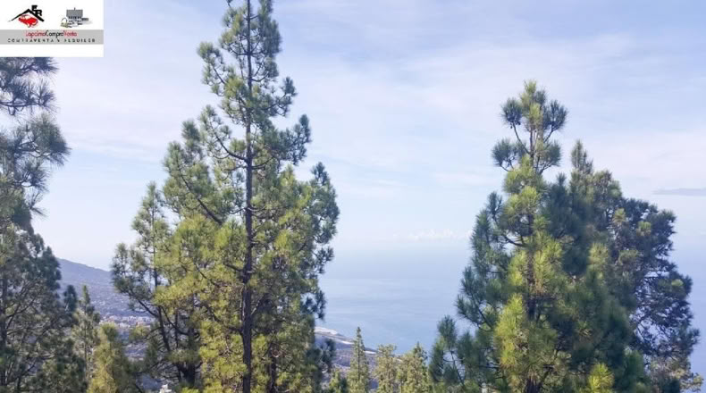 Santa Cruz de Tenerife - El Jesus - 15532m2
