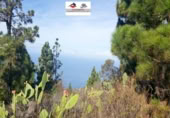 Non-developable land for sale on Tagomate, El Pueblo, ref: TR108194 photo