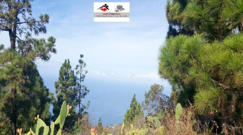 Santa Cruz de Tenerife - El Jesus - 15532m2