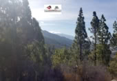Non-developable land for sale on Tagomate, El Pueblo, ref: TR108194 photo