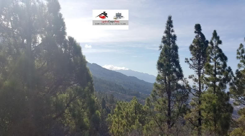 Santa Cruz de Tenerife - El Jesus - 15532m2