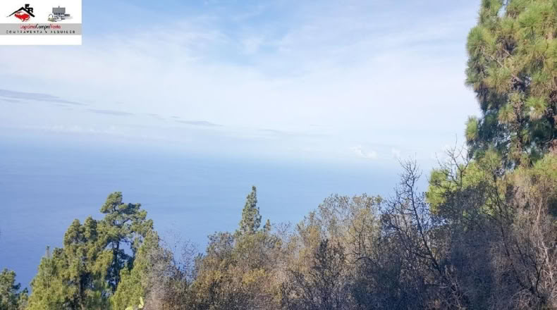 Santa Cruz de Tenerife - El Jesus - 15532m2