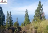 Non-developable land for sale on Tagomate, El Pueblo, ref: TR108194 photo