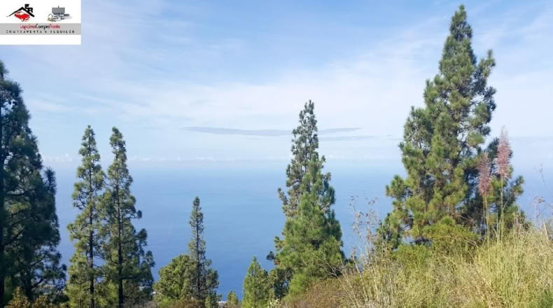 Santa Cruz de Tenerife - El Jesus - 15532m2