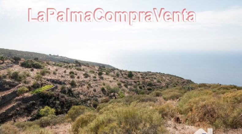 Santa Cruz de Tenerife - Finca El Morro - 105000m2