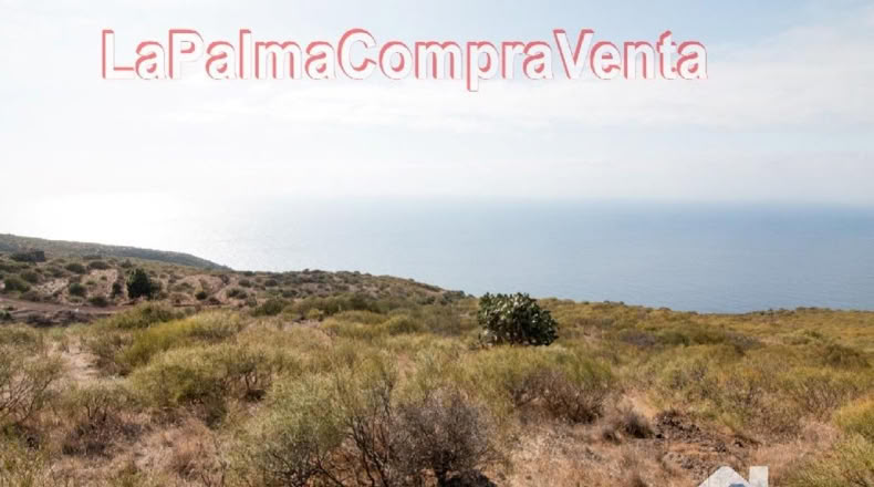Santa Cruz de Tenerife - Finca El Morro - 105000m2