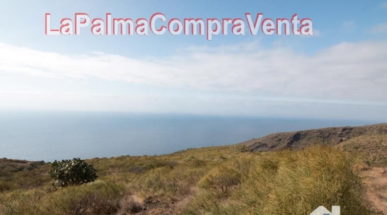 Santa Cruz de Tenerife - Finca El Morro - 105000m2
