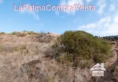 Terreny no urbanitzable en venda a la Lomada Grande, Las Tricias, ref.: TR109081 foto