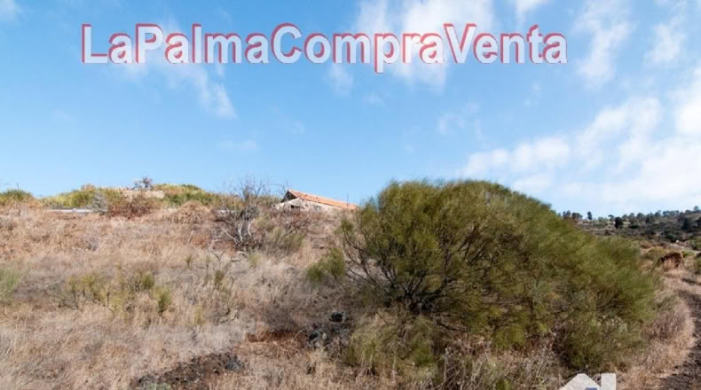 Santa Cruz de Tenerife - Finca El Morro - 105000m2