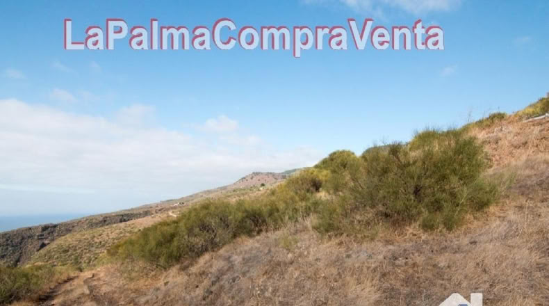 Santa Cruz de Tenerife - Finca El Morro - 105000m2