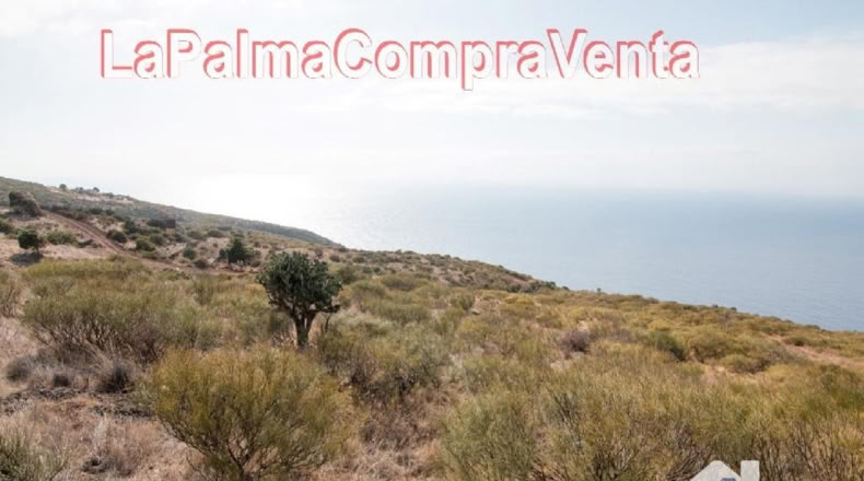 Santa Cruz de Tenerife - Finca El Morro - 105000m2