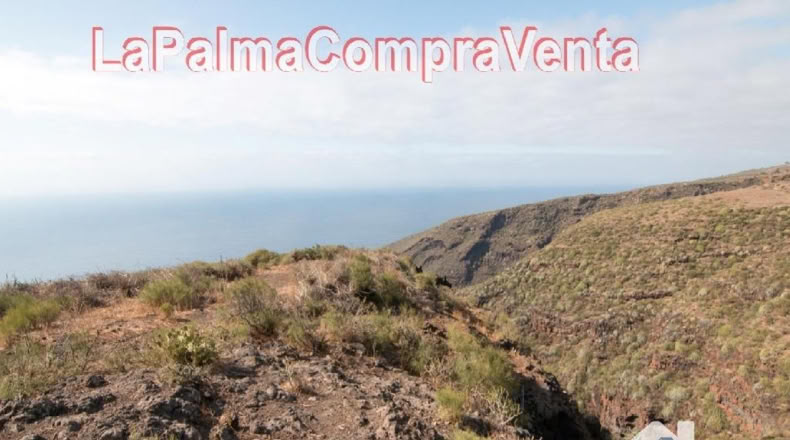 Santa Cruz de Tenerife - Finca El Morro - 105000m2