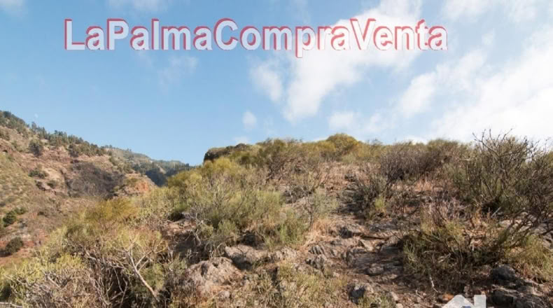 Santa Cruz de Tenerife - Finca El Morro - 105000m2