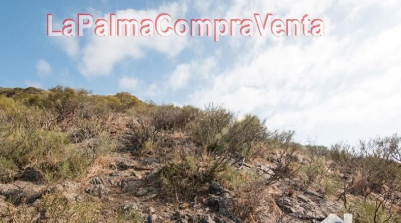 Santa Cruz de Tenerife - Finca El Morro - 105000m2