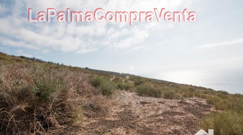 Santa Cruz de Tenerife - Finca El Morro - 105000m2