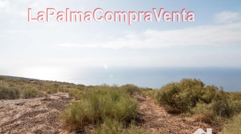 Santa Cruz de Tenerife - Finca El Morro - 105000m2