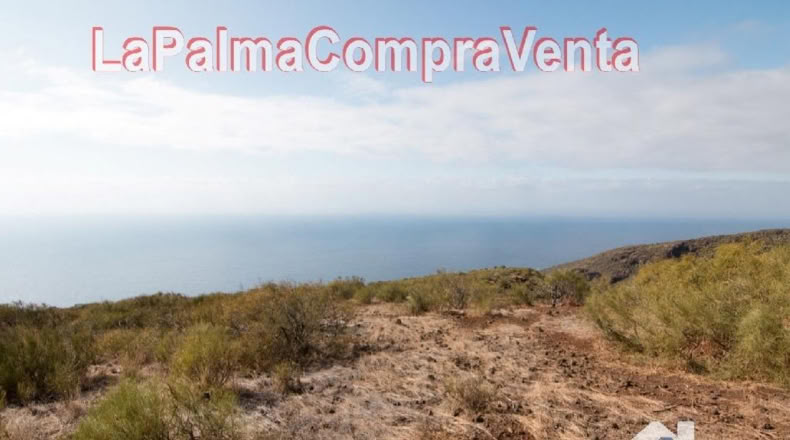 Santa Cruz de Tenerife - Finca El Morro - 105000m2
