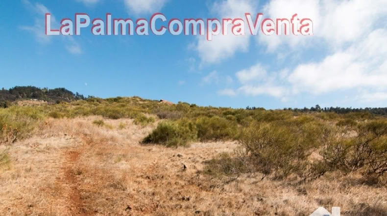 Santa Cruz de Tenerife - Finca El Morro - 105000m2