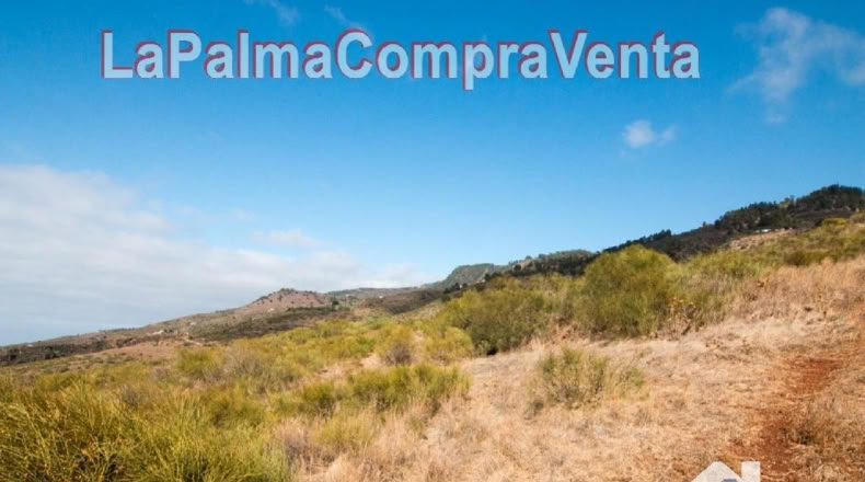 Santa Cruz de Tenerife - Finca El Morro - 105000m2