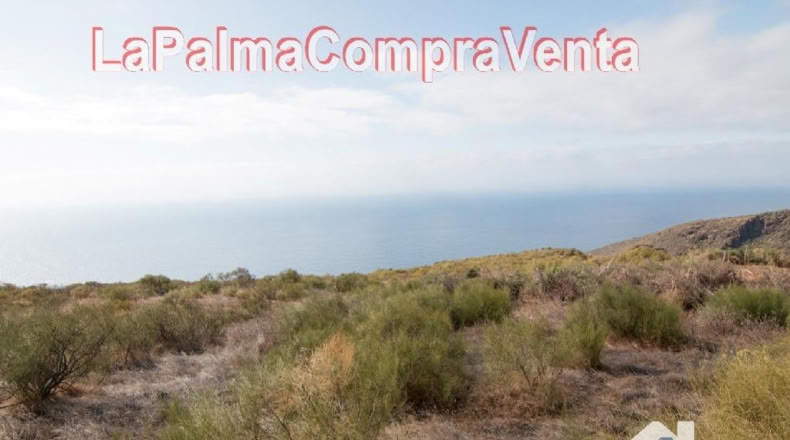 Santa Cruz de Tenerife - Finca El Morro - 105000m2