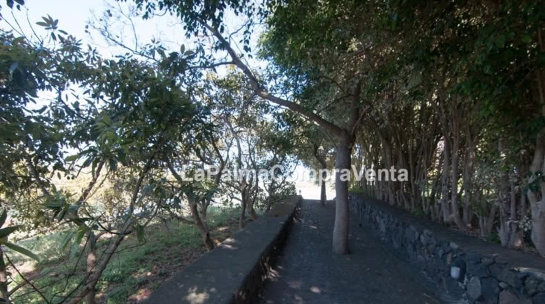 Santa Cruz de Tenerife - Santa Cruz de la Palma - 8600m2