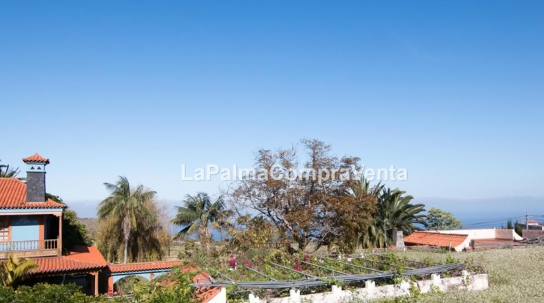 Santa Cruz de Tenerife - Santa Cruz de la Palma - 8600m2