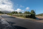 Sòl urbà en venda a Barlovento ref.: TR108193 foto