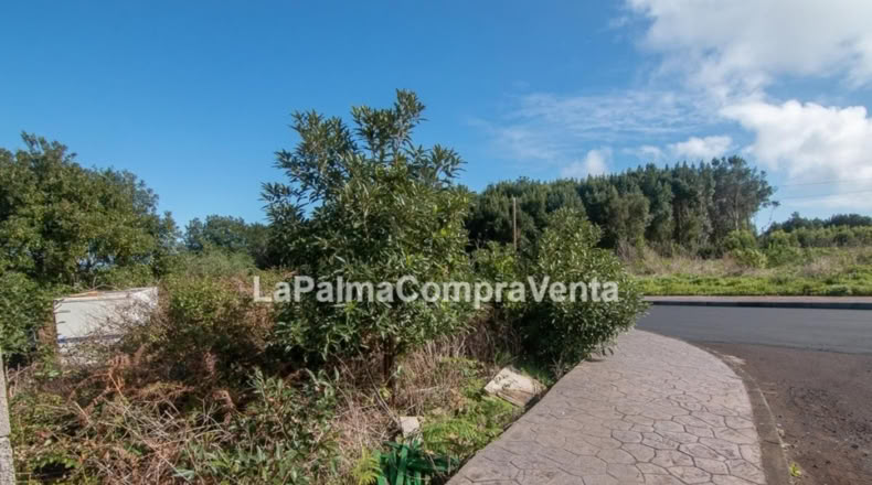 Santa Cruz de Tenerife - Las Paredes - 1252m2