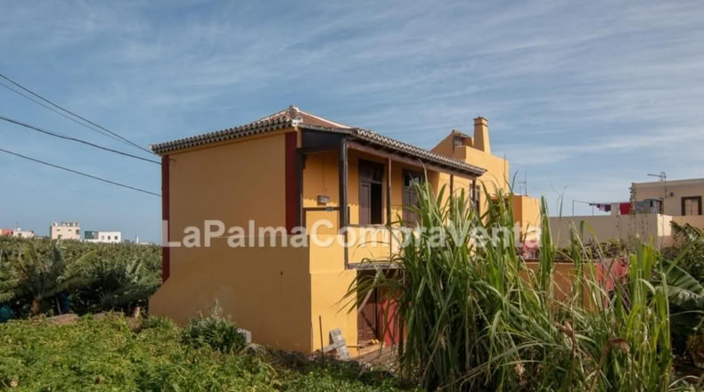 Santa Cruz de Tenerife - Los Sauces - 1300m2