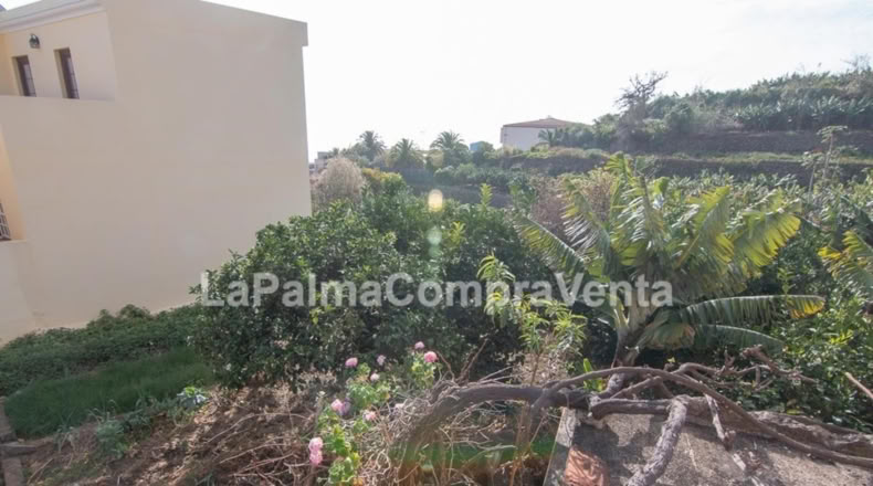 Santa Cruz de Tenerife - Los Sauces - 1300m2