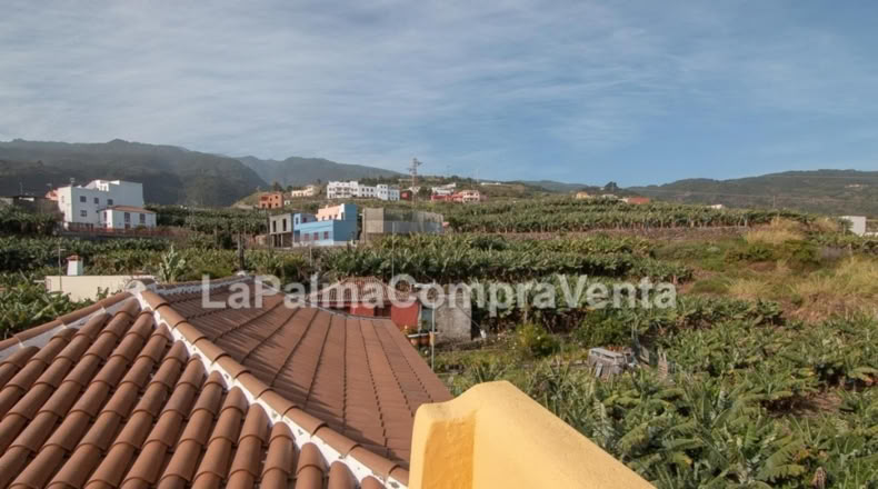 Santa Cruz de Tenerife - Los Sauces - 1300m2