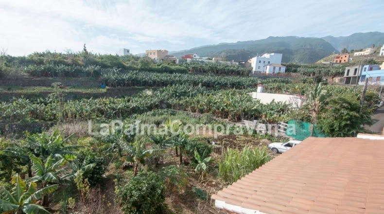 Santa Cruz de Tenerife - Los Sauces - 1300m2
