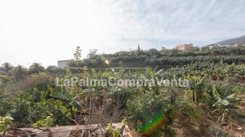 Santa Cruz de Tenerife - Los Sauces - 1300m2