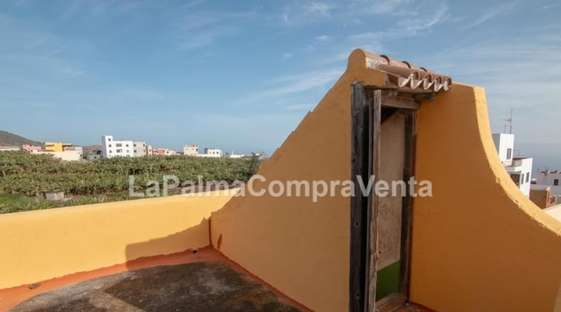 Santa Cruz de Tenerife - Los Sauces - 1300m2