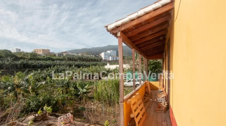 Santa Cruz de Tenerife - Los Sauces - 1300m2