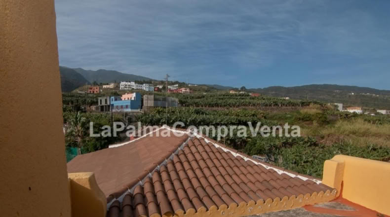 Santa Cruz de Tenerife - Los Sauces - 1300m2