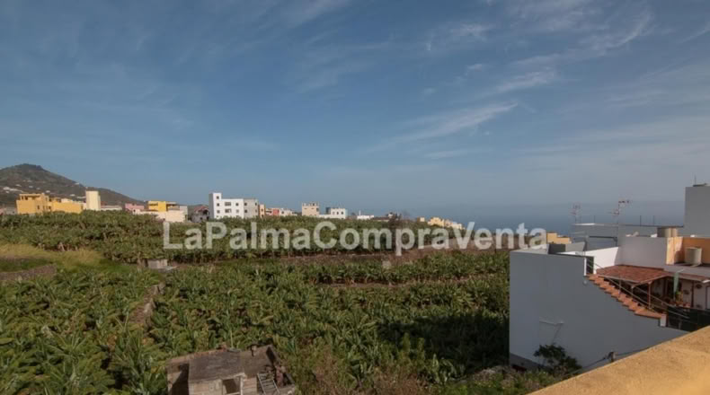 Santa Cruz de Tenerife - Los Sauces - 1300m2