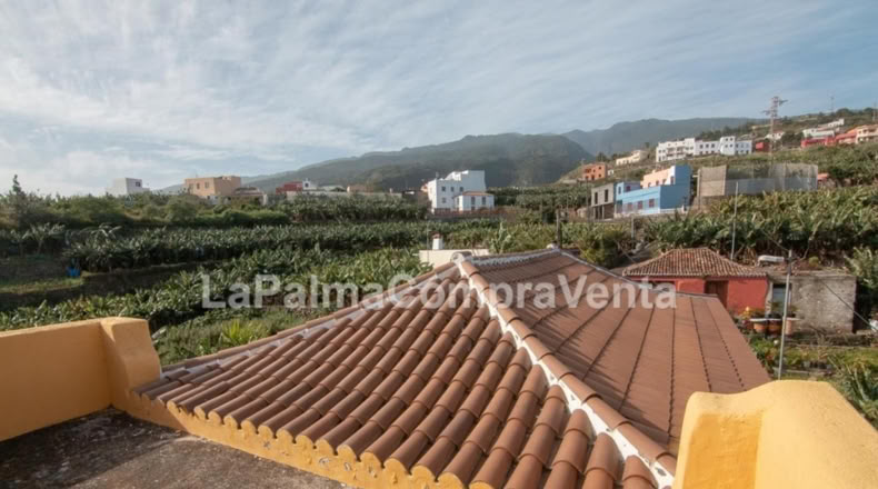 Santa Cruz de Tenerife - Los Sauces - 1300m2