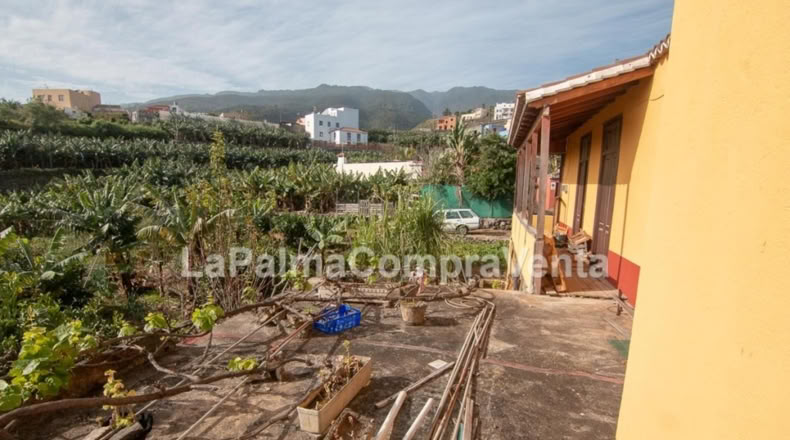 Santa Cruz de Tenerife - Los Sauces - 1300m2