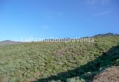 Non-developable land for sale on Calle Lomada Grande, Las Tricias, ref: TR108190 photo