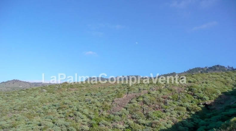 Santa Cruz de Tenerife - Finca El Morro - 176759m2