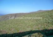 Non-developable land for sale on Calle Lomada Grande, Las Tricias, ref: TR108190 photo
