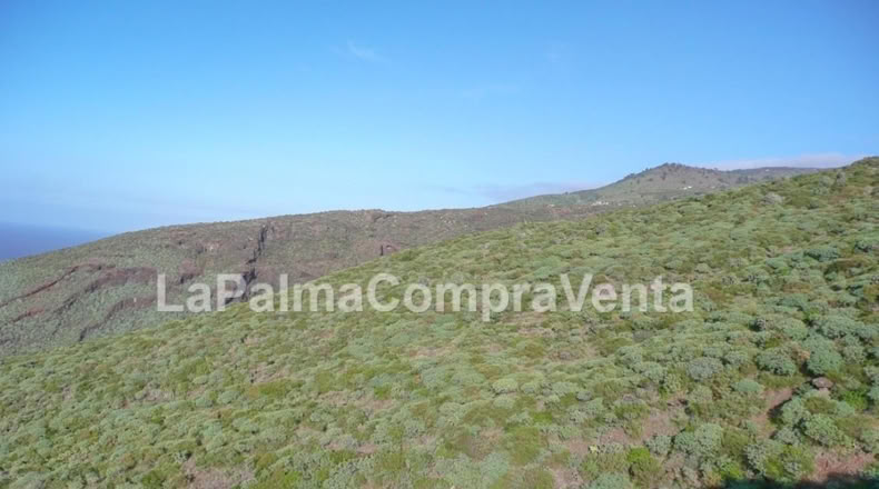 Santa Cruz de Tenerife - Finca El Morro - 176759m2