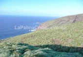Non-developable land for sale on Calle Lomada Grande, Las Tricias, ref: TR108190 photo