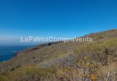 Non-developable land for sale on Calle Lomada Grande, Las Tricias, ref: TR108190 photo