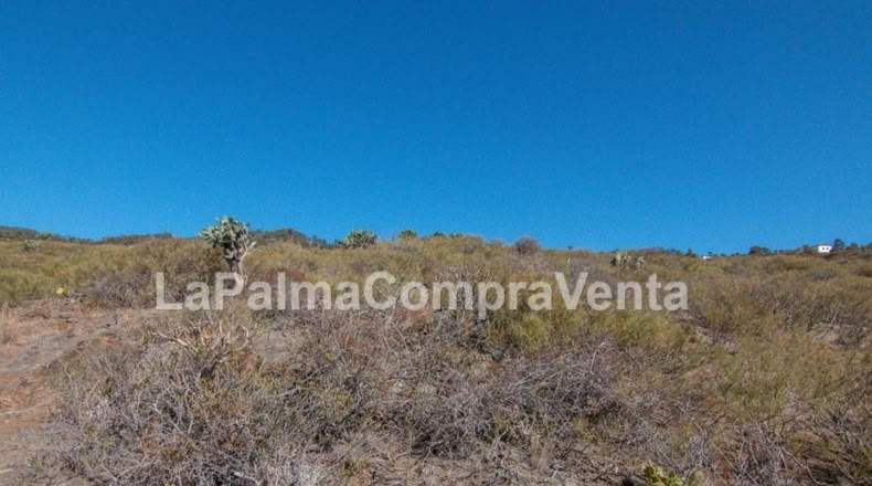 Santa Cruz de Tenerife - Finca El Morro - 176759m2