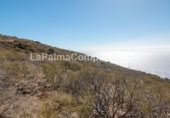 Non-developable land for sale on Calle Lomada Grande, Las Tricias, ref: TR108190 photo