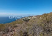 Non-developable land for sale on Calle Lomada Grande, Las Tricias, ref: TR108190 photo