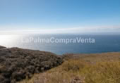 Non-developable land for sale on Calle Lomada Grande, Las Tricias, ref: TR108190 photo