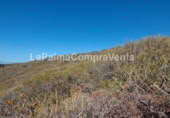 Non-developable land for sale on Calle Lomada Grande, Las Tricias, ref: TR108190 photo